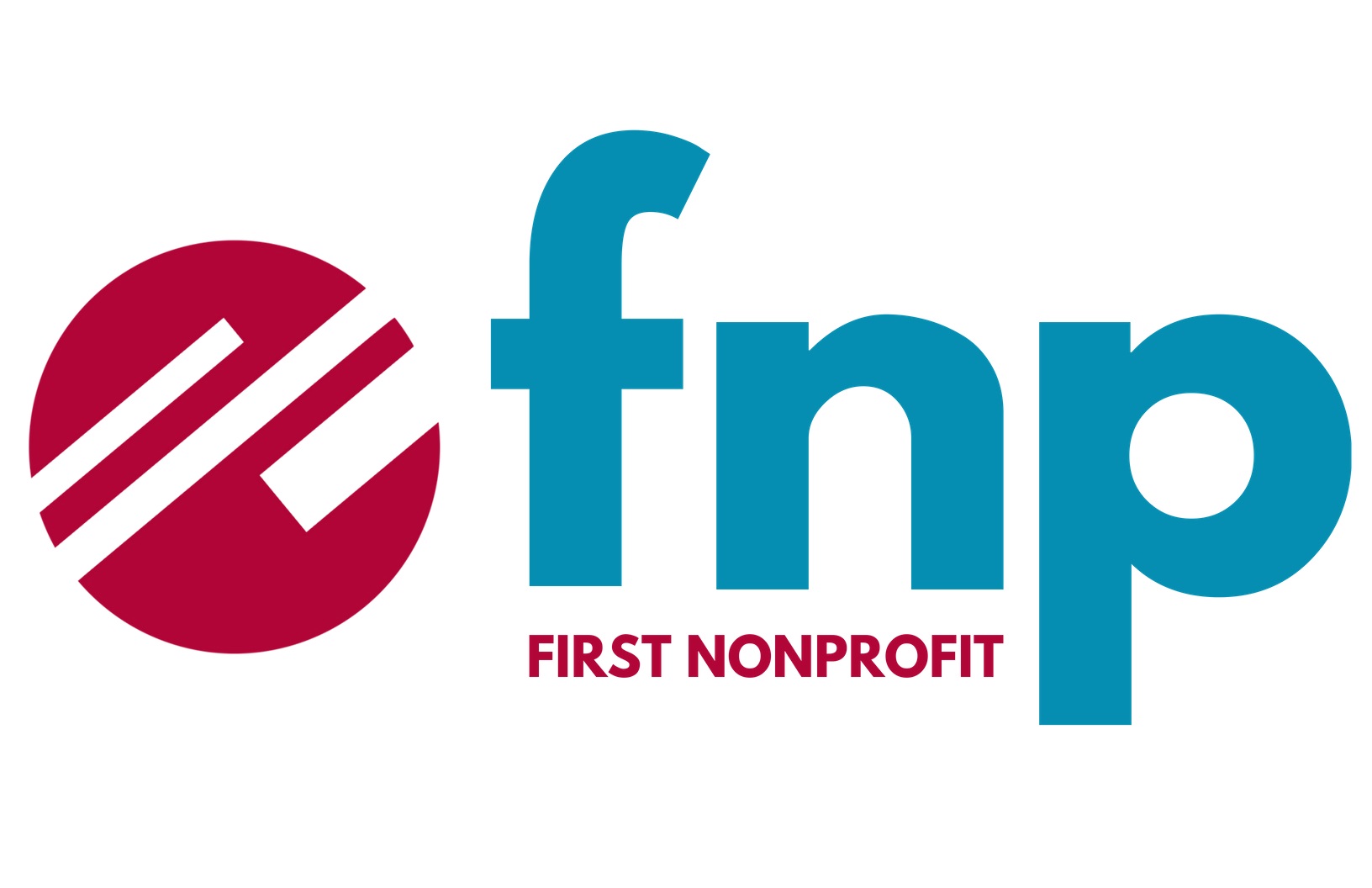 First Nonprofit Companies